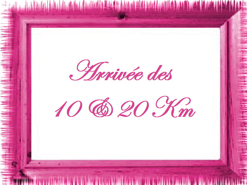 Une Foulée pour la Vie 2011 0101.jpg